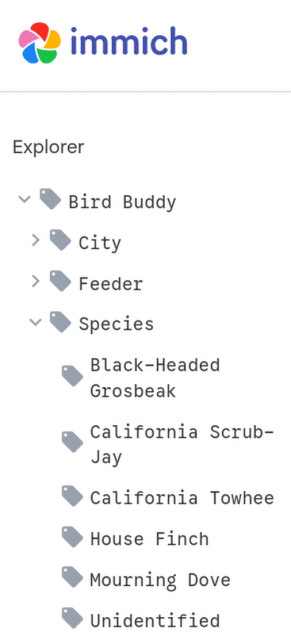 A tree view of Bird Buddy/Species/ with multiple birds listed. Screenshot_20261019_161219